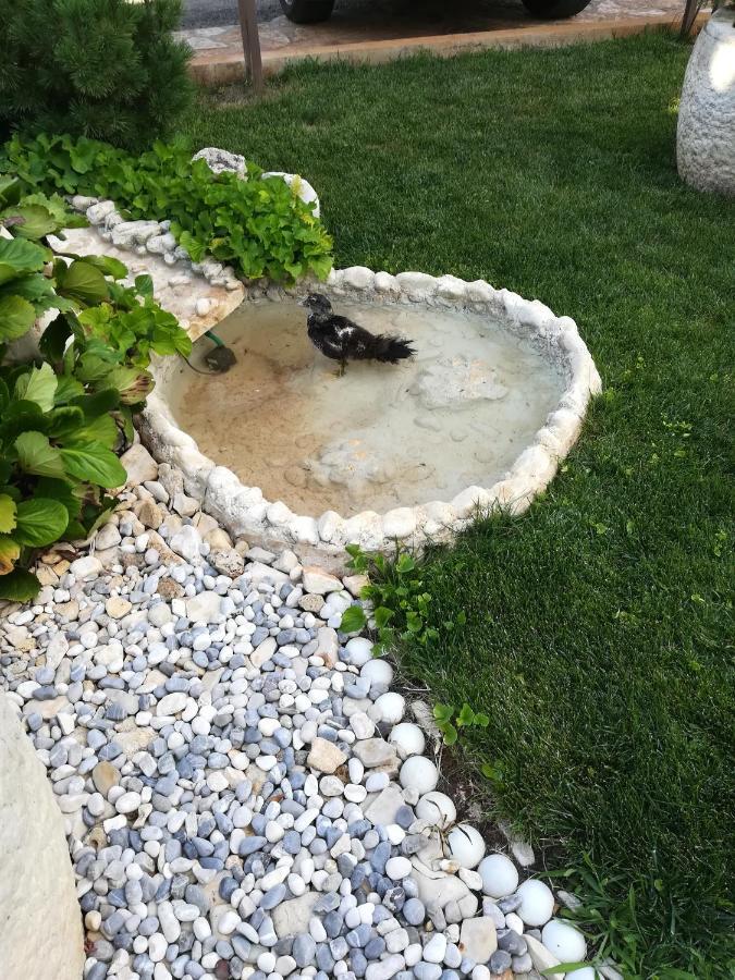 Apartmani Villa Otilija Poreč Exteriör bild